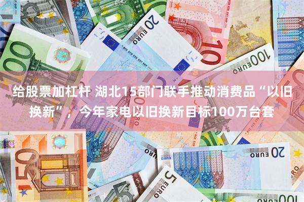 给股票加杠杆 湖北15部门联手推动消费品“以旧换新”，今年家电以旧换新目标100万台套