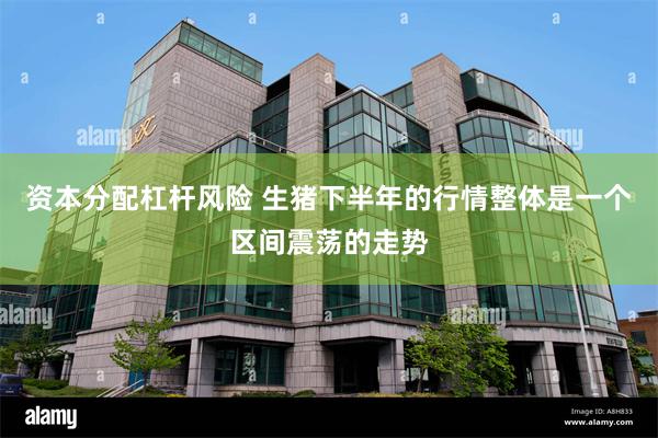 资本分配杠杆风险 生猪下半年的行情整体是一个区间震荡的走势