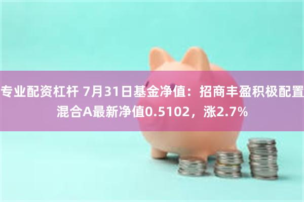 专业配资杠杆 7月31日基金净值：招商丰盈积极配置混合A最新净值0.5102，涨2.7%
