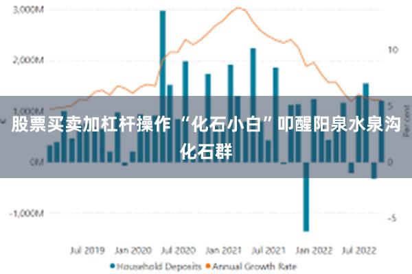 股票买卖加杠杆操作 “化石小白”叩醒阳泉水泉沟化石群