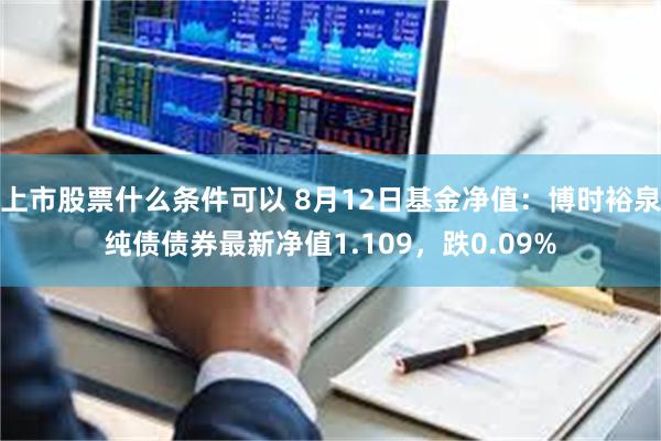 上市股票什么条件可以 8月12日基金净值：博时裕泉纯债债券最新净值1.109，跌0.09%