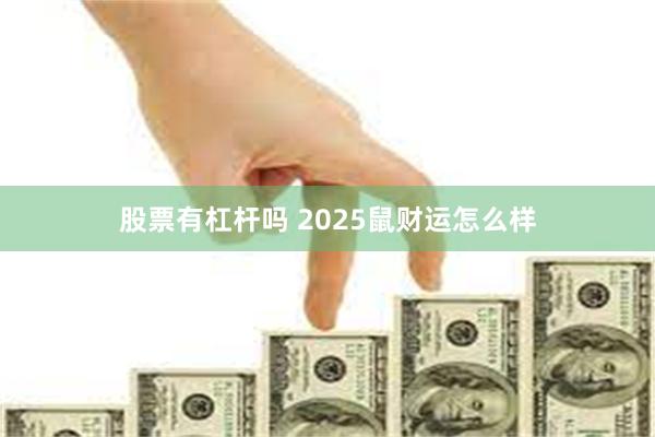 股票有杠杆吗 2025鼠财运怎么样
