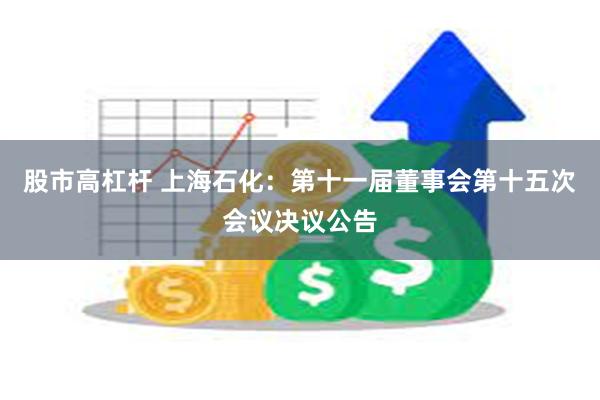 股市高杠杆 上海石化：第十一届董事会第十五次会议决议公告