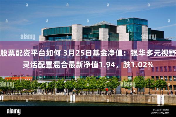 股票配资平台如何 3月25日基金净值：银华多元视野灵活配置混合最新净值1.94，跌1.02%