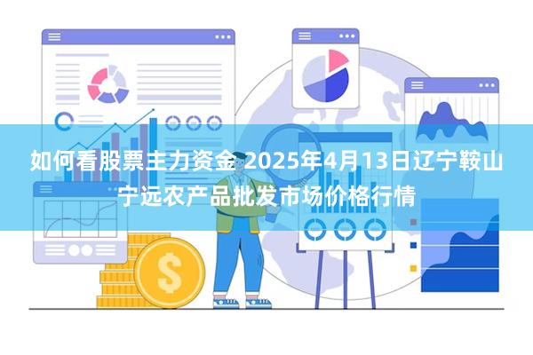 如何看股票主力资金 2025年4月13日辽宁鞍山宁远农产品批发市场价格行情