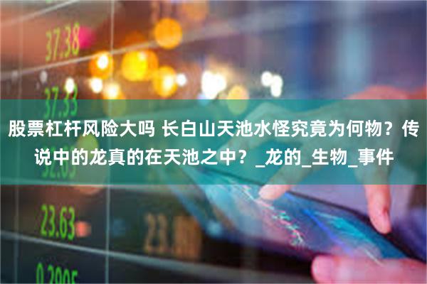 股票杠杆风险大吗 长白山天池水怪究竟为何物？传说中的龙真的在天池之中？_龙的_生物_事件