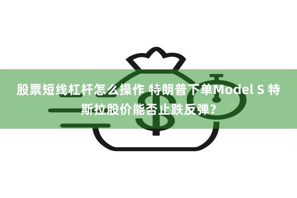 股票短线杠杆怎么操作 特朗普下单Model S 特斯拉股价能否止跌反弹？