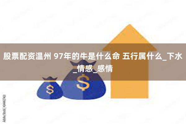 股票配资温州 97年的牛是什么命 五行属什么_下水_情感_感情
