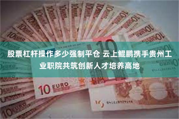 股票杠杆操作多少强制平仓 云上鲲鹏携手贵州工业职院共筑创新人才培养高地