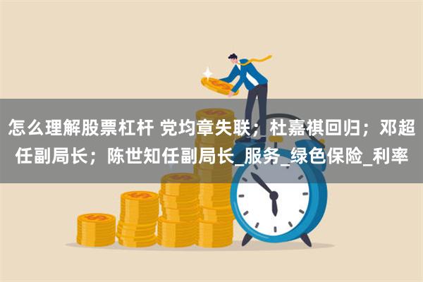 怎么理解股票杠杆 党均章失联；杜嘉祺回归；邓超任副局长；陈世知任副局长_服务_绿色保险_利率