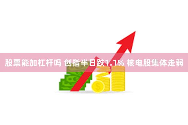 股票能加杠杆吗 创指半日跌1.1% 核电股集体走弱